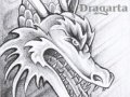 DRAGARTA_9637e2567.jpg