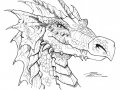 dragon-beauty.jpg
