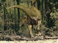 WalkingWithDinosaurs-19.jpg