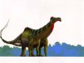 sauropod_mate.jpg