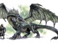 black-dragon.jpg