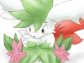 1220255595.tatsumaru_shaymin.jpg