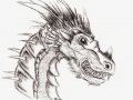 Dragon_head__by_Neinka.jpg