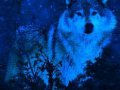 Wolves.jpg