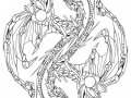 Yin_Yang_Dragons_by_BlackHarpyGoddess.jpg
