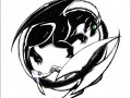 Ying_Yang_dragons.jpg