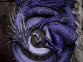 __Dragon___by_Sheil.jpg