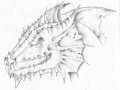 smilling_dragon_7528145925-52e3.jpg