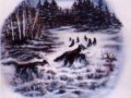 wildlifewolf4.jpg