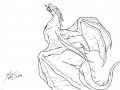wyvern_klein.jpg
