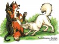yiff10.jpg