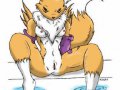 1135901059277_Renamon34.jpg