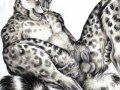 SnowLeopard-Special.jpg