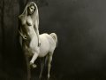 s_1236707313639_Centaur_Wallpaper_by_Lunnagirl.jpg