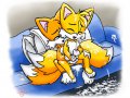 1158521966.twotails_fh-x-tails.jpg