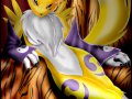 Renamon__Sitting_pretty__by_Alvin_E.jpg