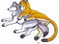 1245095148.urbanhermitdunfor_cougarwolf01mf.jpg