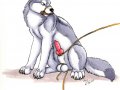 1245112997.urbanhermitdunfor_dog01mf.jpg