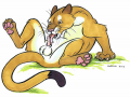 1404494622.urbanhermitdunfor_cougar01rg.png