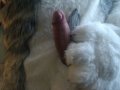 tumblr_mx7973Y7Jr1repty6o5_1280.jpg