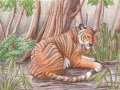 1262863901.blackdiaraikia_tigerlover.jpg